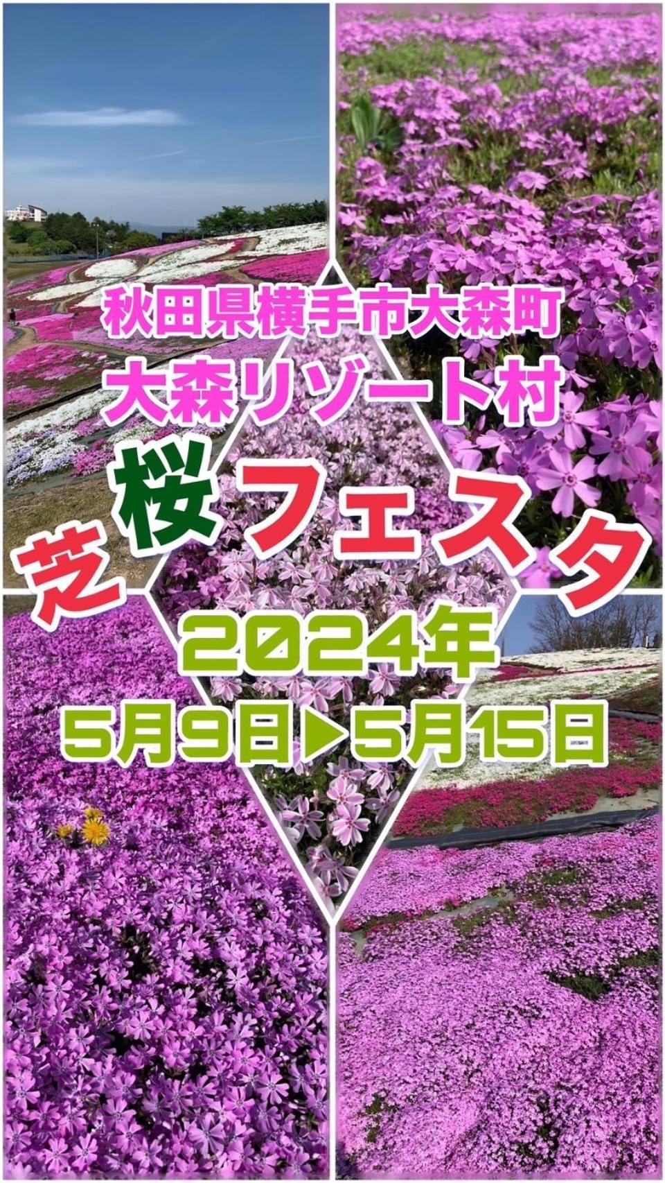 Hotel Dolphia-Adult Only Daisen  Екстериор снимка